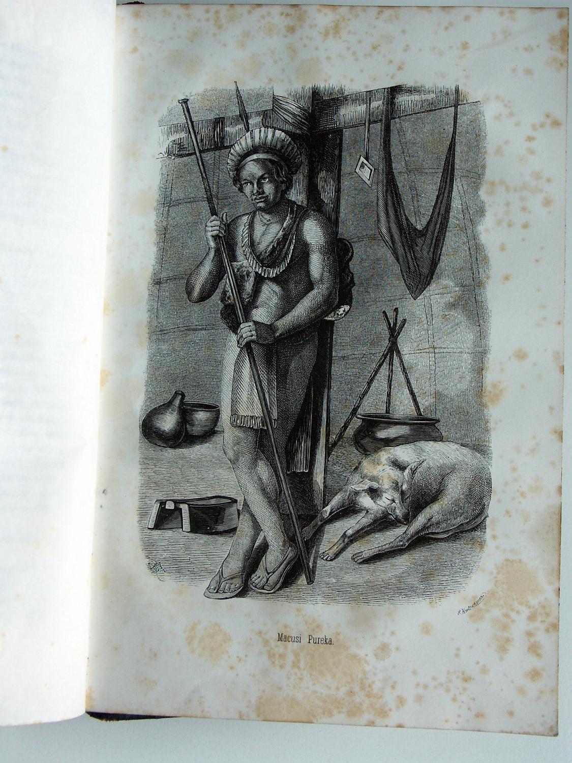 ZZ-RISC47,S.428b Bild Tanzkostüm Macushi